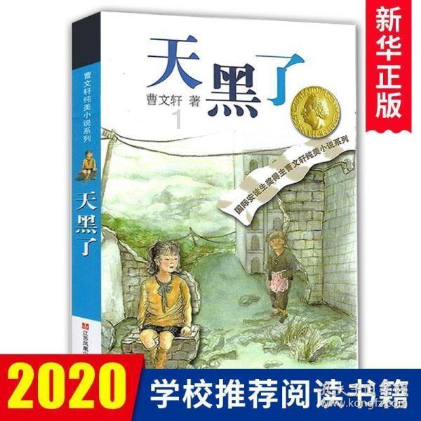 旋转飞机