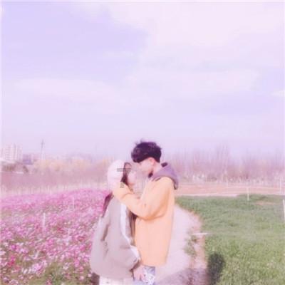 美妙森林找不同